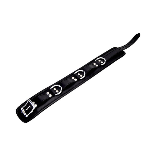 bound-leather-collar